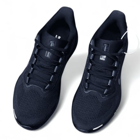 Pegasus 41