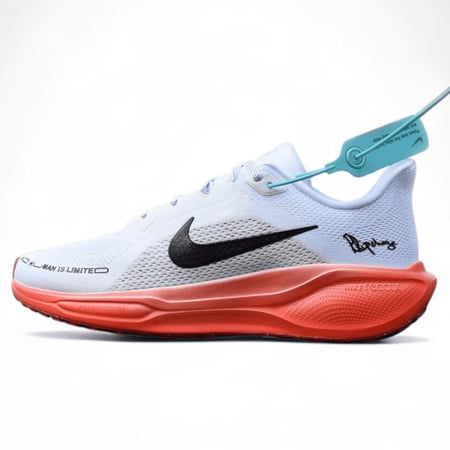 Pegasus 41