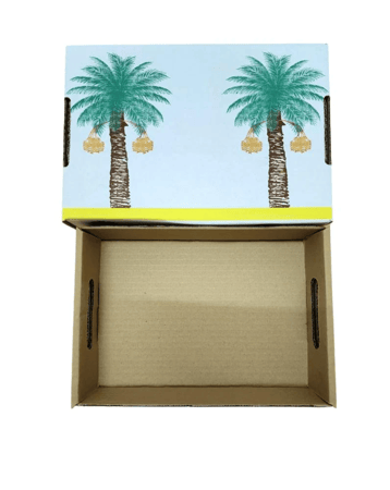 كرتون تمر 2 كيلو