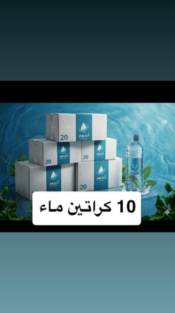 10 كراتين