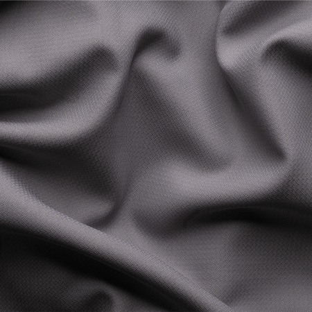 اوركيد - شتوي