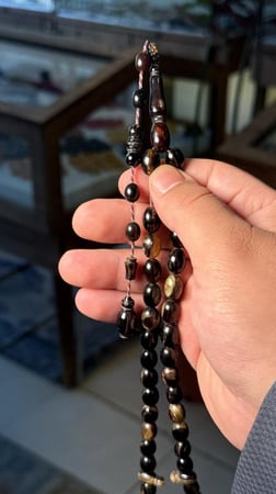 قشره السلحفاة ترسه