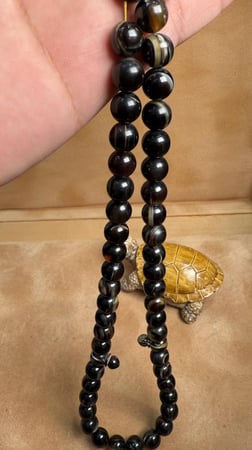 ترسه من السلحفه طبيعيه