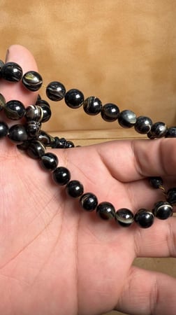 ترسه من السلحفه طبيعيه