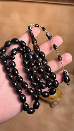 ترسه من ظهر السلحفه