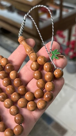 ثمره الكوك بلوقو شجره الكوك
