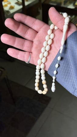 فقمة
