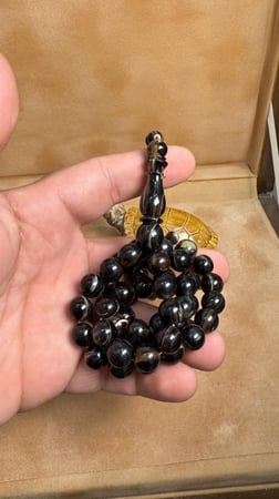 ترسه من السلحفه طبيعيه