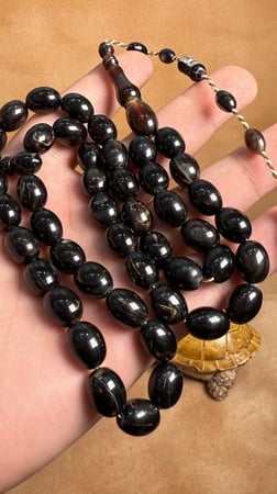 ترسه من ظهر السلحفه