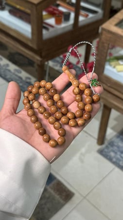 ثمره الكوك بلوقو شجره الكوك