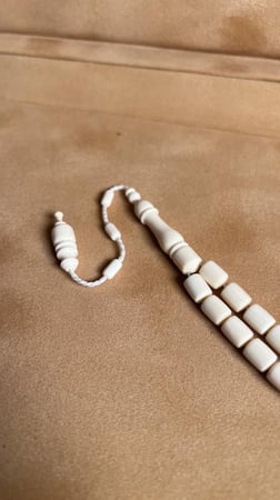 عاج فيل طبيعي