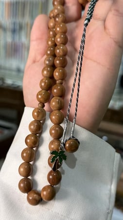 ثمره الكوك بلوقو شجره الكوك