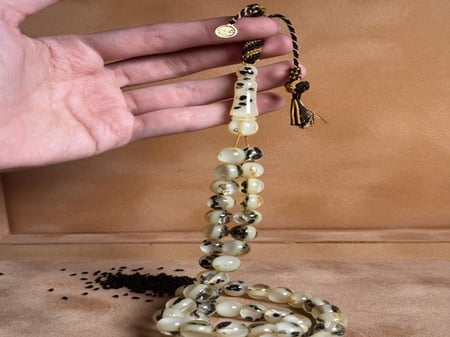 حبه البركه