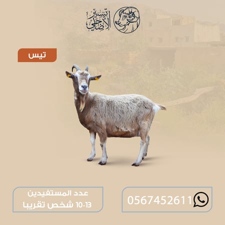 تيس
