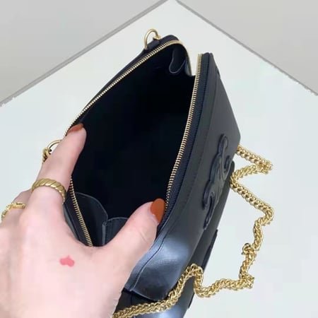 celine bag 16*11*8CM