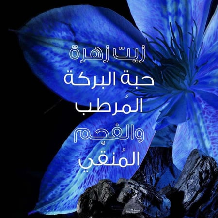 شامبو غارنييه الترا دو الفحم الاسود وزيت حبة البركة - 400 مل