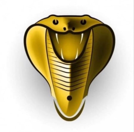 اشتراك كوبرا سنتين