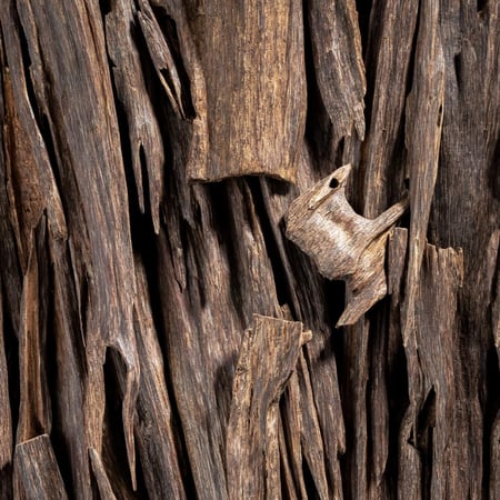 عود نجلاند طبيعي  هندي سوبر