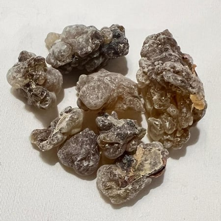 لبان اللقط العماني الملكي