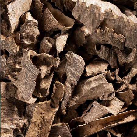 عود زوايا فيتنامي , عروض العود