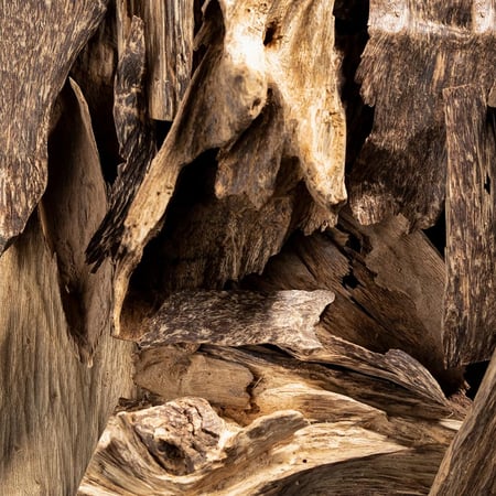 كلمنتان طبيعي سومطري ملكي