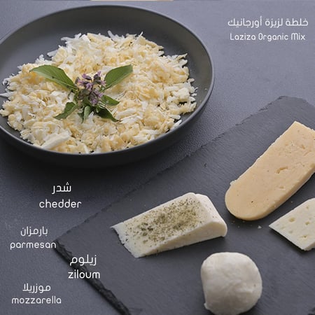 خلطة لزيزة للبيتزا والمعجنات