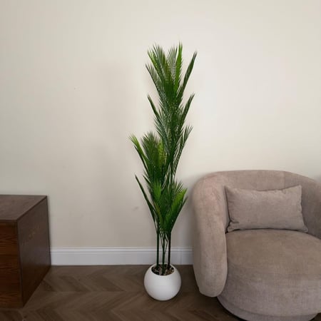 شجر اريكا مع مركن