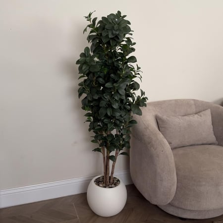 شجر ليمون ملمس طبيعي كثيف مع مركن