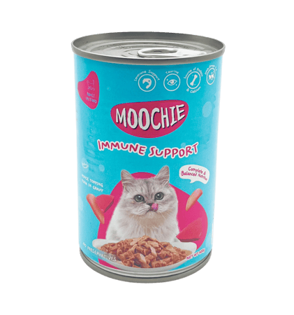معلبات موتشي بنكهات متعددة 400G