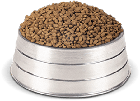Multi Raças طعام جاف 10KG