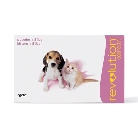 امبولة ريفولشن (Revolution) لعلاج الحشرات و البراغيث للقطط الصغيرة