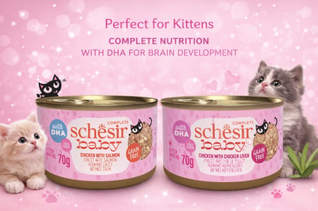 شرائح الدجاج مع السلمون في مرق Schesiř Baby chicken with salmon