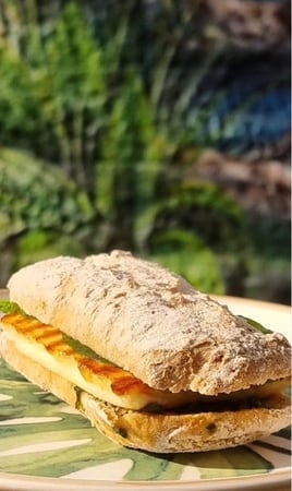 شباتا