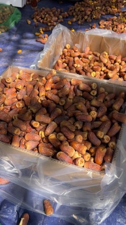 كرتون كبير برني رقم 1 فاخر k15-18