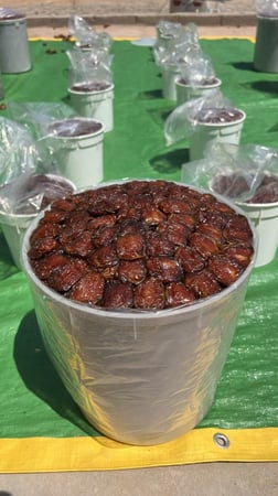 كعيمر العيص رقم ١ فاخر سطل كبير  13-K15