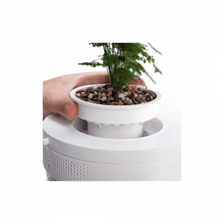 حوض السمك بتقنية أكوابونيكس