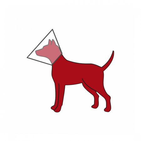 تريكسي | طوق حماية مع قفل وحلقة وصل