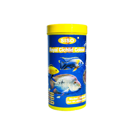 سيسو | طعام حبوب لسمك الرويال سيكليد