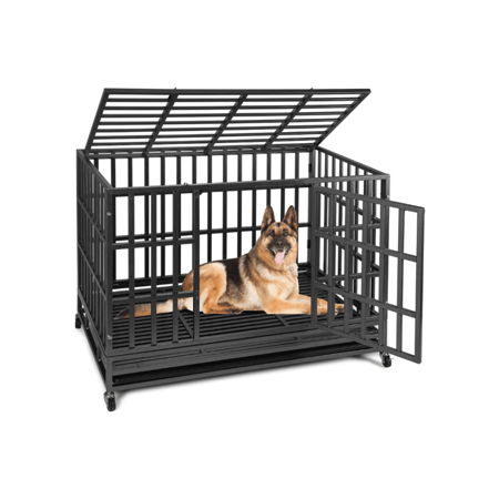 قفص كبير للكلاب