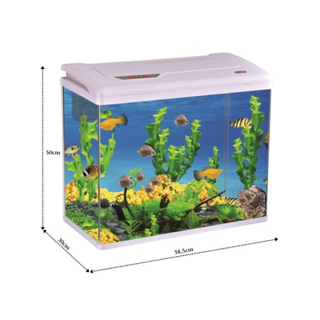 بوفيت | حوض سمك مكتبي PY580