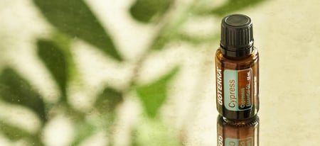 زيت شجرة السرو “Cypress” (صافي 15مل، مُركز، عضوي، زرع في البلد الأصلي)