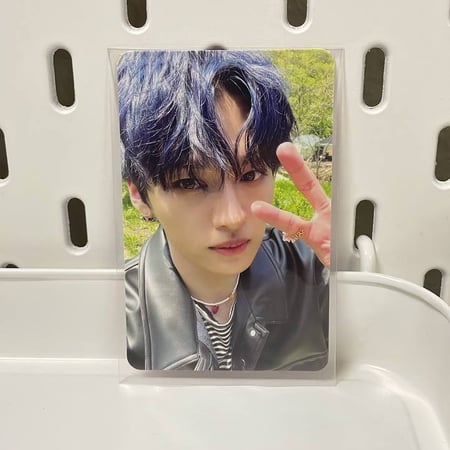 فوتوكارد لينو MAXIDENT