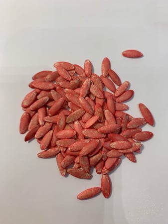 بذور خيار(5 قرام)