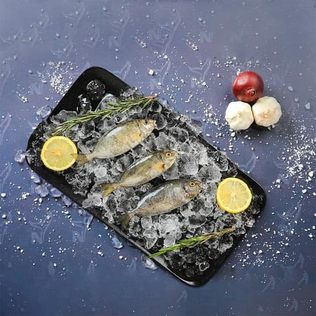 سمك السيجان طازج جاهز للطبخ