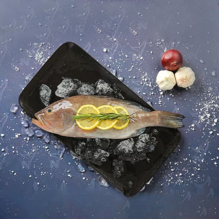 سمك الهامور طازج 1 كجم جاهز للطبخ