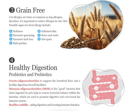 ناتشورال كيتي طعام جاف خالي من الحبوب مع طعام مجفف بالتجميد نكهة الدجاج ١،٨ كيلو