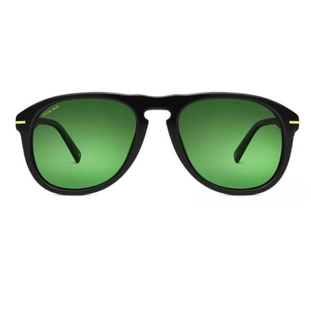 نظارة شمسية من بولر POLAR GOLD 101