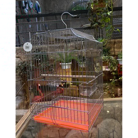 قفص للببغاء معلق بصحن مختلف الالوان ياركود ( 448)