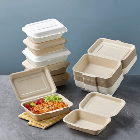 علب وجبات قصب السكر