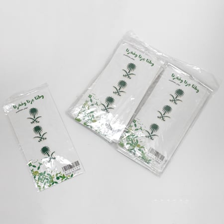 بروش مغناطيسي اليوم الوطني – النخلة والسيفين الأخضر والأبيض